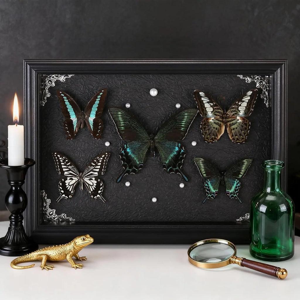 Real Framed Butterfly Taxidermy Collection - Set of 5 in Shadow Box Display - Natural Wood Frame with Museum Quality Preservation - for Home Decor, Wall Art, Gift