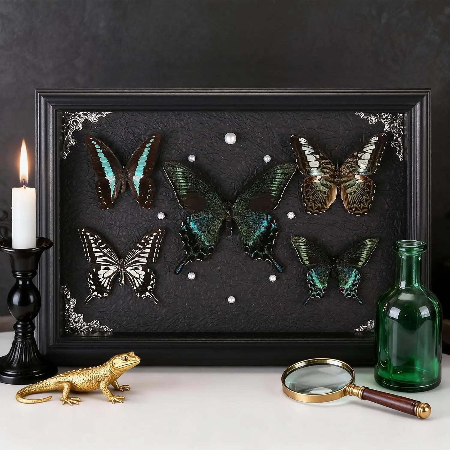 Real Framed Butterfly Taxidermy Collection - Set of 5 in Shadow Box Display - Natural Wood Frame with Museum Quality Preservation - for Home Decor, Wall Art, Gift